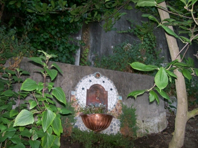 An odd shriney thing