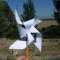 Pinwheel Complete