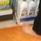 Audey Lee's Lincoln's foot.