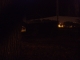 Park.jpg