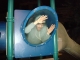 The Phantom Zone.jpg