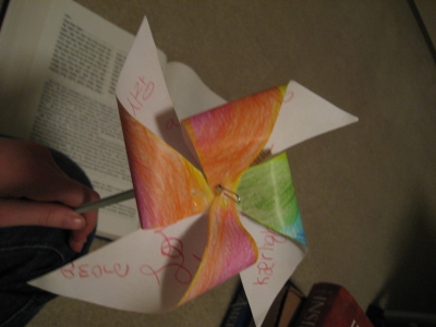 Pinwheelandmeshots 007.jpg Pinwheelandmeshots 007.jpg