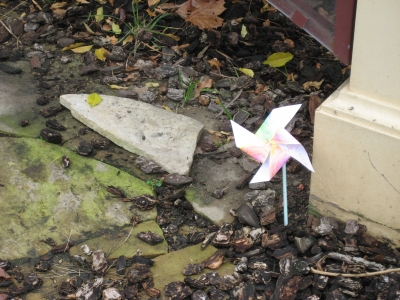 Pinwheelbyentrancesign.jpg Pinwheelbyentrancesign.jpg