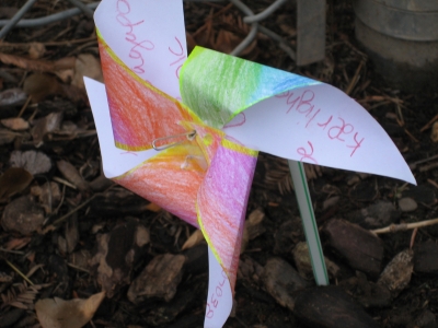 Pinwheelandmeshots 011.jpg Pinwheelandmeshots 011.jpg
