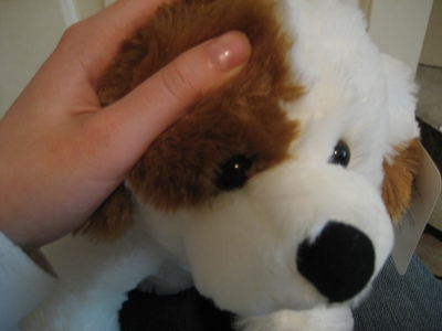 toydog.jpg