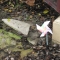 Pinwheelbyentrancesign.jpg