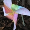 Pinwheelandmeshots 011.jpg