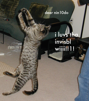 invisiblewii.png