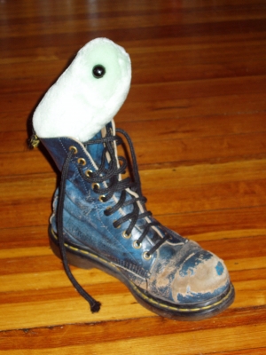 the Flu in a Blue Shoe the Flu in a Blue Shoe