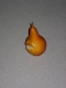 Pear, after falling off my Hair, down the Stairs