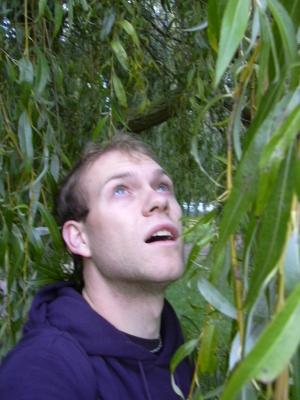 Enchanter's Tree
