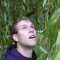 Enchanter's Tree
