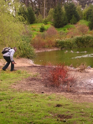 I'm not a great ninja...