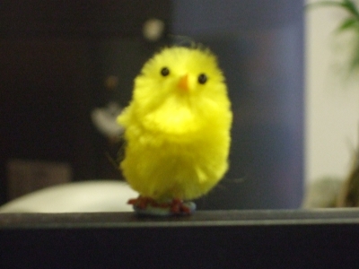 Chick