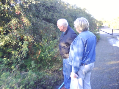 The parental units peer at a bush.
