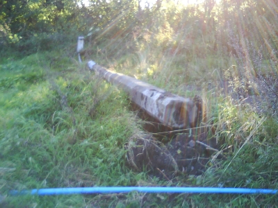 Fallen, fallen is the mighty lamp