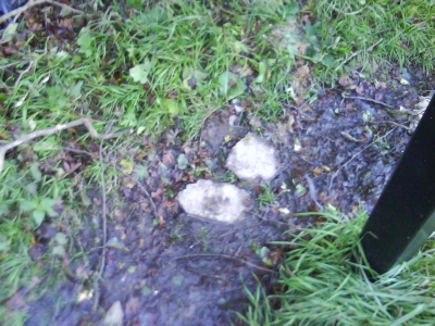 Stepping stones in the mud.