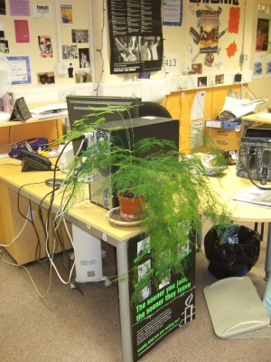 The front of the desk.