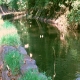Down river...