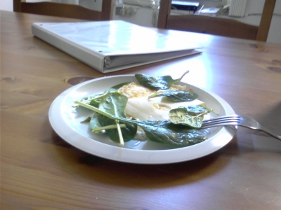Documentation of 2:30 PM:  Lunch and Work