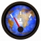 empty_gasoline_id272604_size500o.jpg