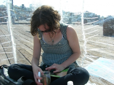 Medicinal Supplements 