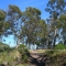 a clearing