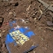 burial