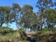a clearing
