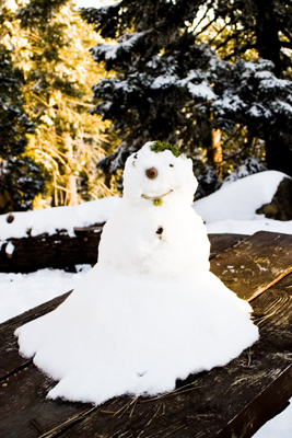 Pine Mountain, Ojai California