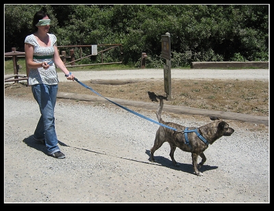 Shortly after this I ran into a car...