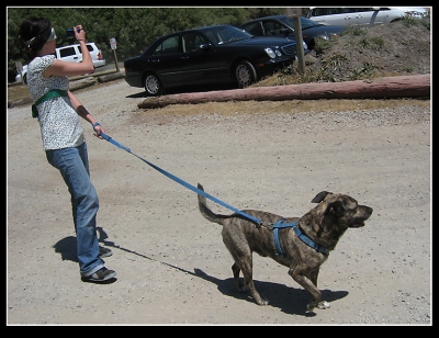 But I forgot to take a picture of it