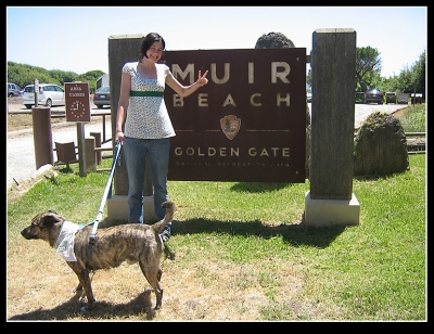 Which I borrowed from good ol Poncho at Muir Beach