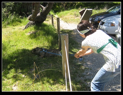 Tug of War with the dog who loves to smell too much