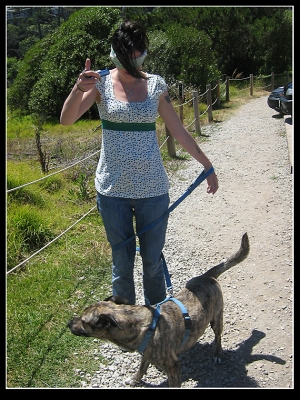 Almost to "The Bridge"