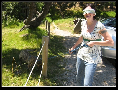 Silly me thinking he would be a great guide dog