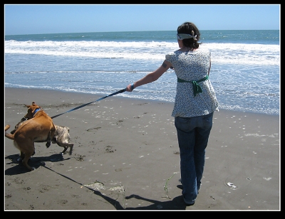 Even broke up a dog fight while blind