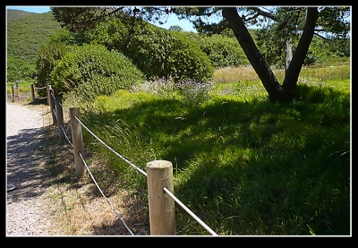 The beginning of my journey.