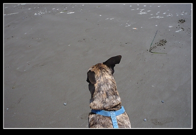 and you stop egging him on Ponch