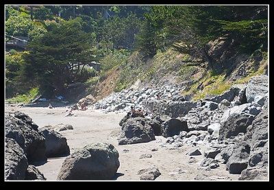 This is the area where you can catch a view of some old bush 