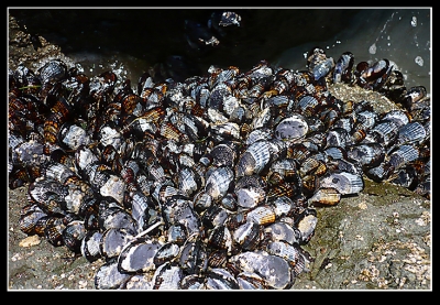 It's just amazing how many there are