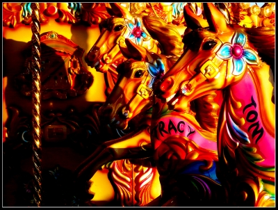 Catching the golden hour on already vibrant colors