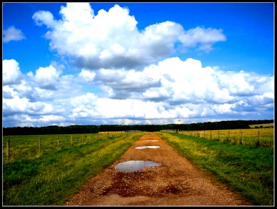 Dirt roads that seem to go on forever