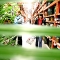 The jungles of Home Depot