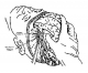 447l15-4.jpg