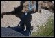 our shadow