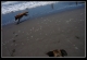 Fucking bully dog...Shoo. GO AWAY!!! I CAN"T SEE ANYTHING