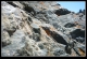 This rock has some cool edges