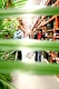 The jungles of Home Depot