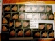 There are 29 cents worth of stamps on this card